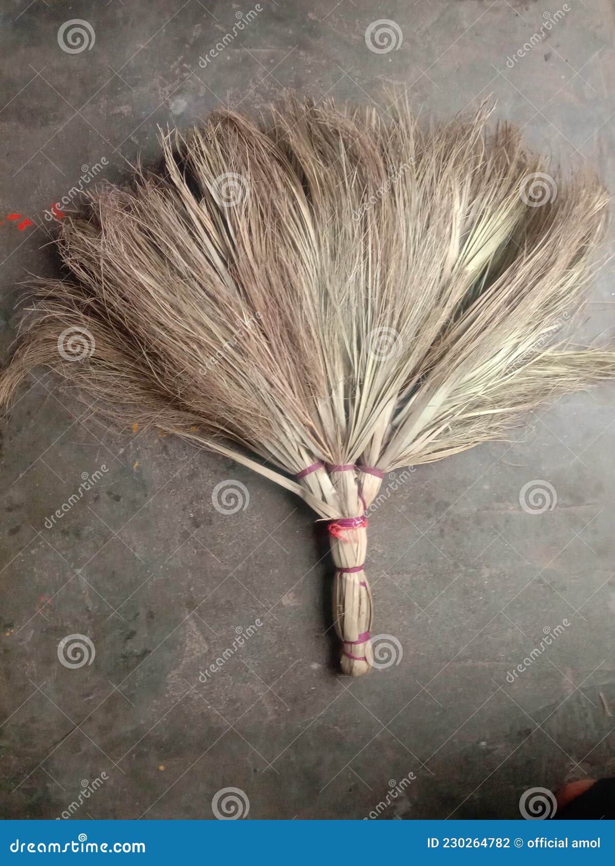 Indian Broom