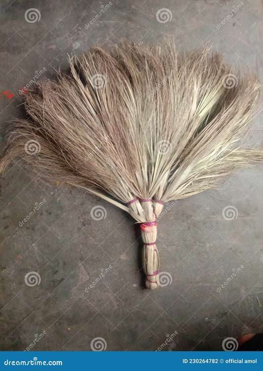 Indian Broom