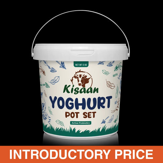 Kisaan yogurt potset 2kg