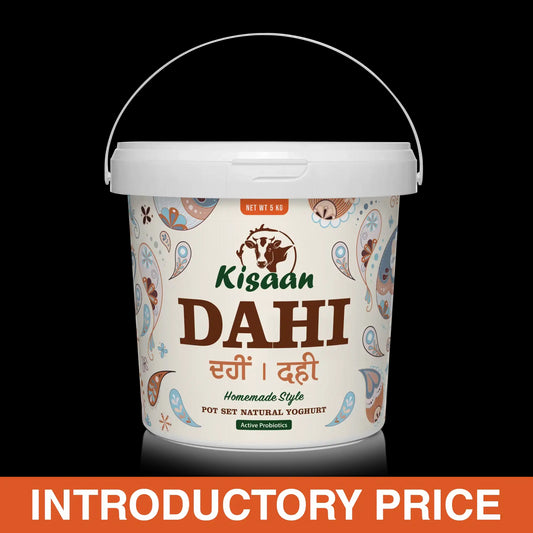 Kisaan yogurt potset 5kg